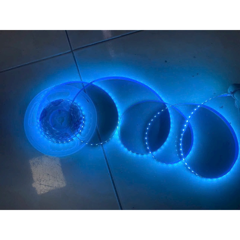 Led Xanh Ngọc cuộn 5 met