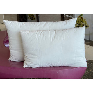 Ruột gối Hikosen Cara Nhật Bản