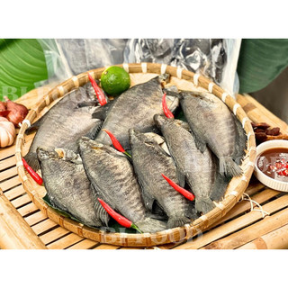 KHÔ SẶC BỔI 3 NẮNG (1kg 10-12con)