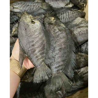 KHÔ SẶC BỔI 3 NẮNG (1kg 10-12con)