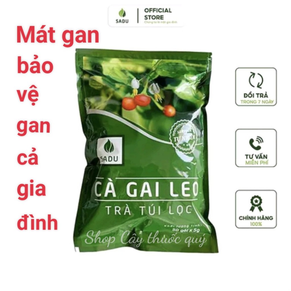 Trà túi lọc cà gai leo Sadu, mát gan bảo vệ gan cả gia đình 250g