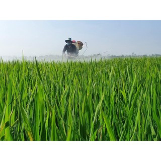 KÍCH RỄ ROOTS PLUS (Chai 1 Lít) - Ra rễ cực mạnh