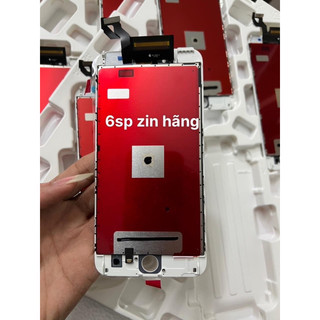 Màn hình thay thế 6 SP zin mới