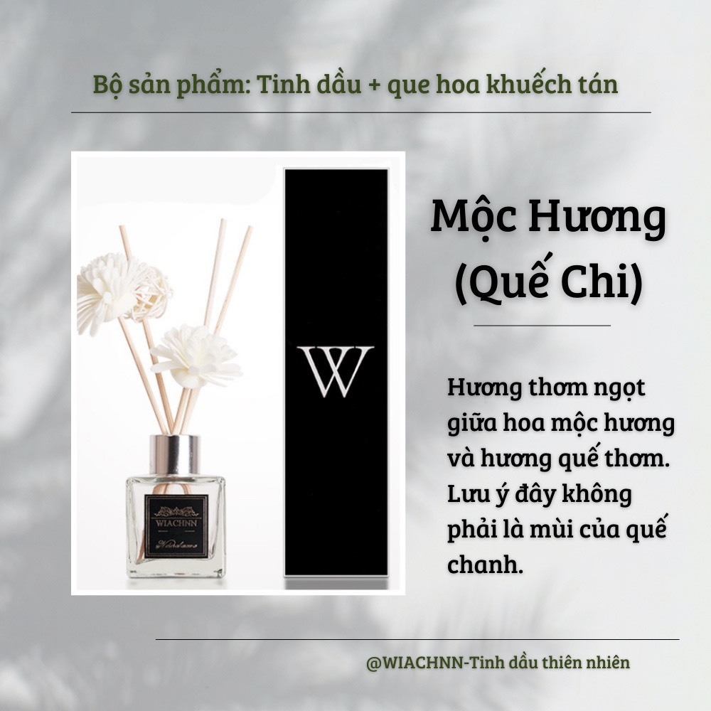 Tinh Dầu Thơm Thiên Nhiên 50ml Để Phòng Que Gỗ Tự Khuếch Tán Thanh Lọc Khử Mùi Không Khí