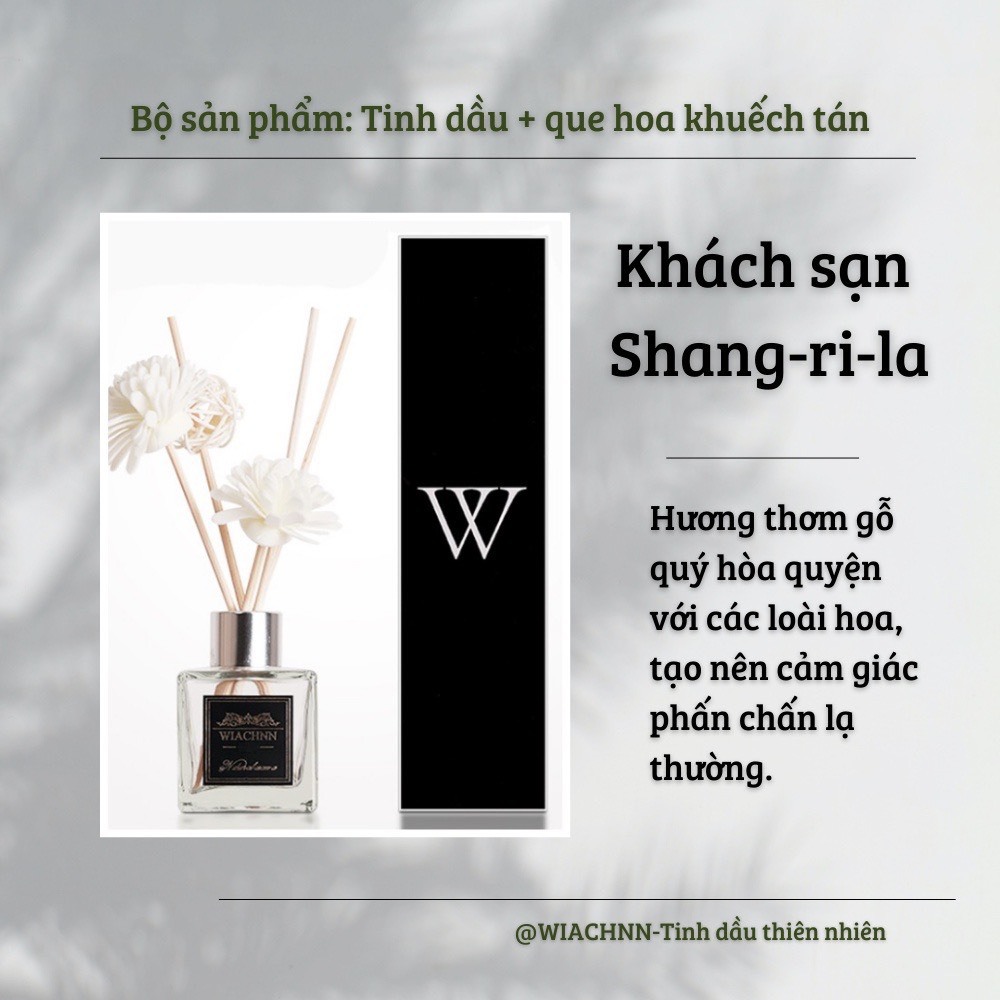 Tinh Dầu Thơm Thiên Nhiên 50ml Để Phòng Que Gỗ Tự Khuếch Tán Thanh Lọc Khử Mùi Không Khí