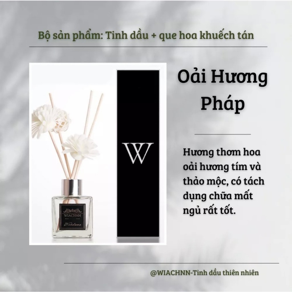 Tinh Dầu Thơm Thiên Nhiên 50ml Để Phòng Que Gỗ Tự Khuếch Tán Thanh Lọc Khử Mùi Không Khí
