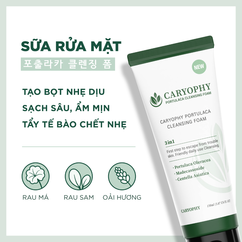 MUA 1 TẶNG 1 Kem chống nắng nâng tông Caryophy Smart Sunscreen Tone-up 50ml Tặng Sữa rửa mặt Portulaca 150ml