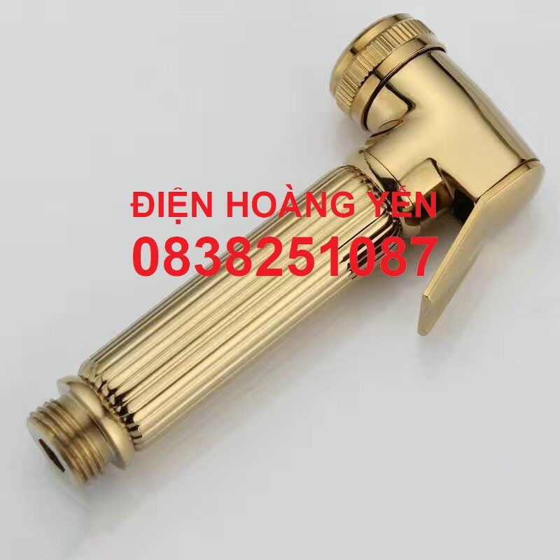Vòi Xịt Nước Toilet Cầm Tay Bằng Đồng Thau Mạ Vàng
