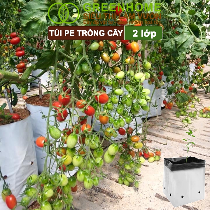 Túi Trồng Cây Greenhome, PE 2 Lớp, 18x36CM Chống UV, Tiện Lợi, Kinh Tế, Độ Bền 1,5 Năm, Trồng Rau, Hoa, Dâu Tây