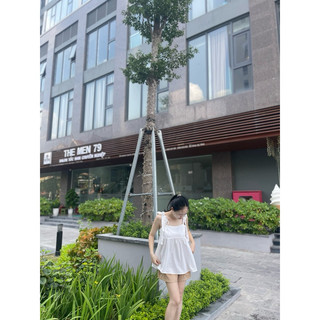 Set bánh bèo xinh lựa mẫu ib