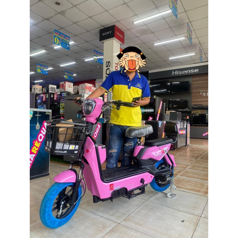 Xe đạp điện New Beer SK8, Xe điện cao cấp. Hàng chính hãng bảo hành 1 năm, 48V-14A. Freeship TpHCM