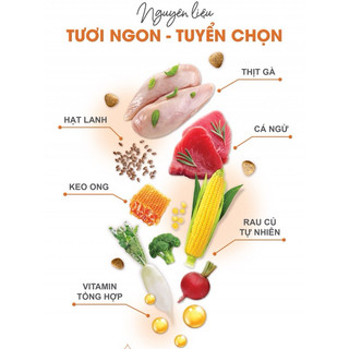 [1kg] Hạt CATSRANG Thức Ăn Cho Mèo Mọi Lứa Tuổi