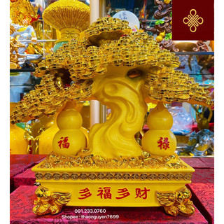 Tượng cây kim tiền đế vuông phong thuỷ màu xanh biển mạ vàng/ vàng cát kim sa (cao 32, dài 36, rộng 16)
