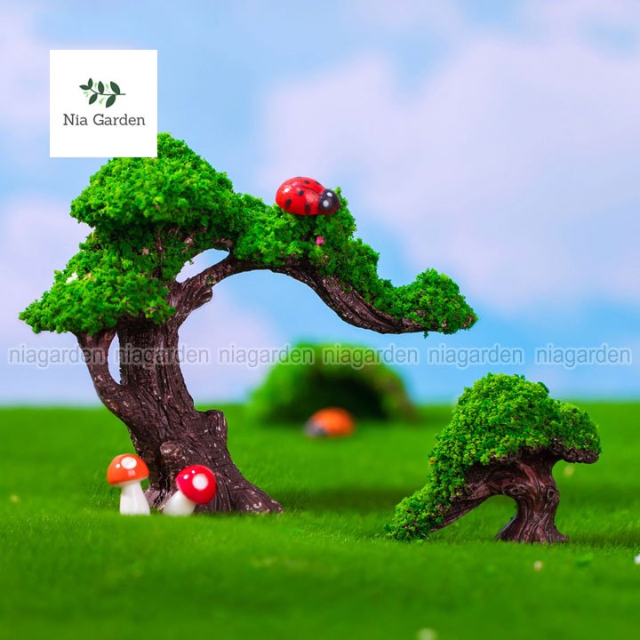 Trang trí tiểu cảnh chậu cây vườn terrarium mô hình mini cây tiểu cảnh Nia Garden N5