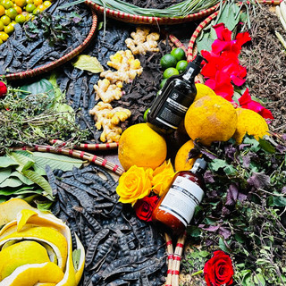 CẶP DẦU GỘI + DẦU XẢ THẢO MỘC THIÊN TRI (500ml)