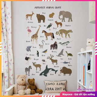 Decal dán tường thước đo số và chữ cái cho bé XH921A