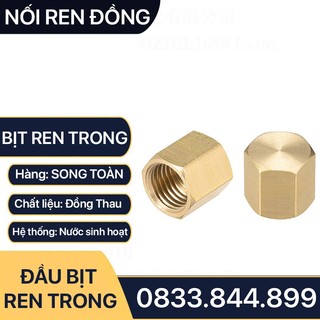 Bịt Ren Trong - Nút Đầu Bịt Ren Trong Ngặn Chặn Dòng Chảy & Khí Nén Ren Bsp - Bằng Đồng Brass Pipe Plug Cap Female