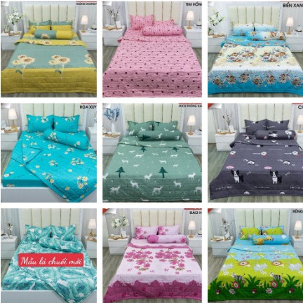 Bộ ga gối cotton poly ga trải giường kèm 2 áo gối ga chun kích thước m2 1m m6 mẫu hoa đá 3 D-changagoithanhtu