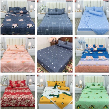 Bộ ga gối cotton poly ga trải giường kèm 2 áo gối ga chun kích thước m2 1m m6 mẫu hoa đá 3 D-changagoithanhtu