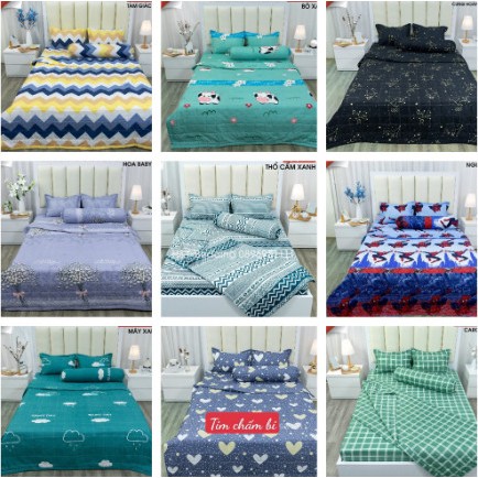 Bộ ga gối cotton poly ga trải giường kèm 2 áo gối ga chun kích thước m2 1m m6 mẫu hoa đá 3 D-changagoithanhtu