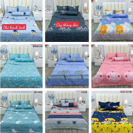 Bộ ga gối cotton poly ga trải giường kèm 2 áo gối ga chun kích thước m2 1m m6 mẫu hoa đá 3 D-changagoithanhtu