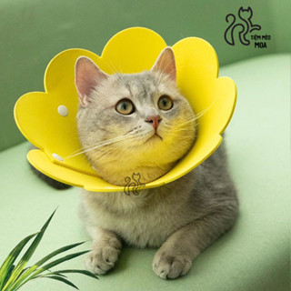 Vòng cổ chống liếm/ loa chống liếm siêu nhẹ cho thú cưng - Tiệm Mèo Moa