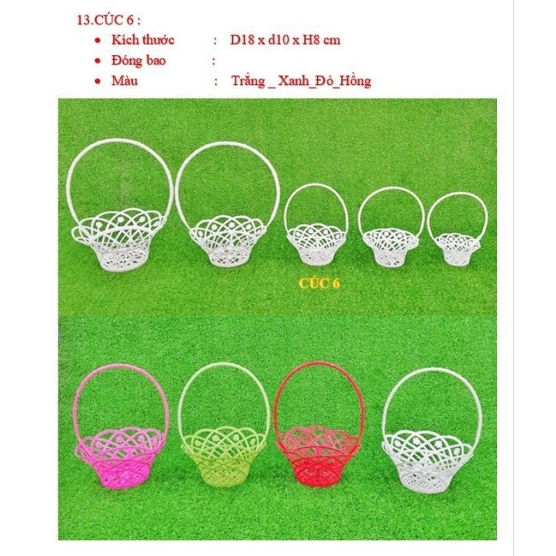 Cúc 6 Combo 50 cái