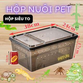 Hộp đại 38cm nuôi thằn lằn lg, ốc, nhện tarantula, ếch pacman, bò sát, ship vận chuyển pet... giá rẽ, ship cấp tốc