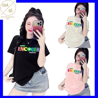 Áo thun nữ tay ngắn cổ tròn thun cotton co giãn in chữ 7 sắc cầu vồng form ôm vừa người nhiều màu bán chạy giá rẻ