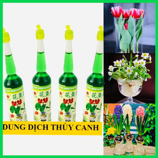 Dung Dịch Thủy Canh 38ml chuyên dùng cho cây trồng thủy sinh hoa cây cảnh bể cá