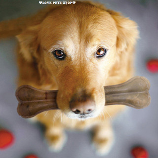 Xương gặm sạch răng cho Chó bằng da bò ép nhiệt - Love pets shop