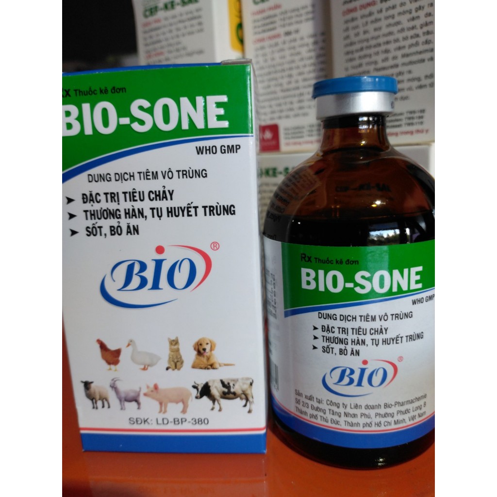 Chai BIO SOME TIÊU CHẢY TỤ HUYẾT TRÙNG BỎ ĂN KHÔNG RÕ NGUYÊN NHÂN