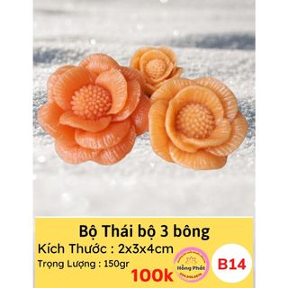 Bộ 3 khuôn silicon hoa thái - B14 - Silicon Hồng Phát