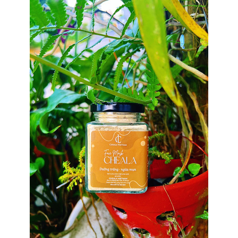 FACE MASK - BỘT DÀNH CHO DA MẶT