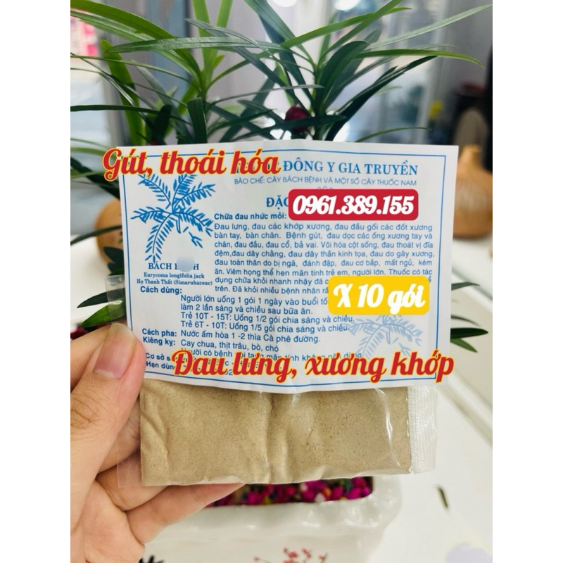 Combo 10 gói Đông y gia truyền Hòa Bình cây bách bệnh chuyên xương khớp, thoái hóa, gút, thoát vị đĩa đệm