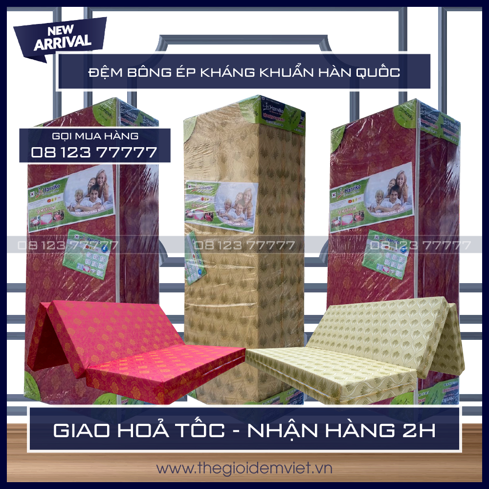 Đệm Bông Ép Kháng Khuẩn Hàn Quốc Hanviko - Đệm Cứng