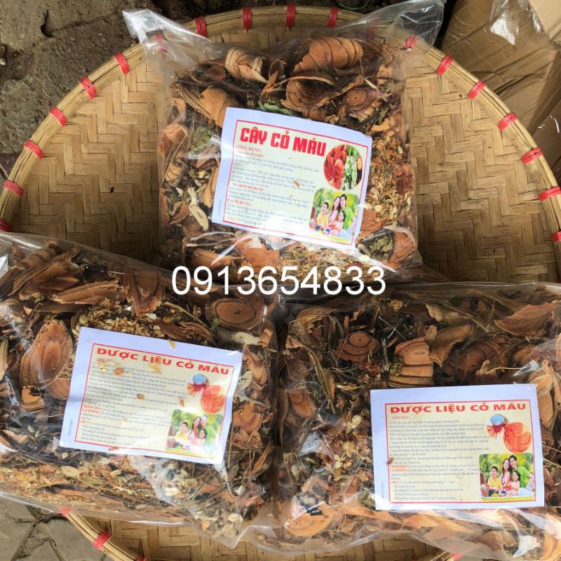 CỎ MÁU TĂNG CÂN LOẠI 1