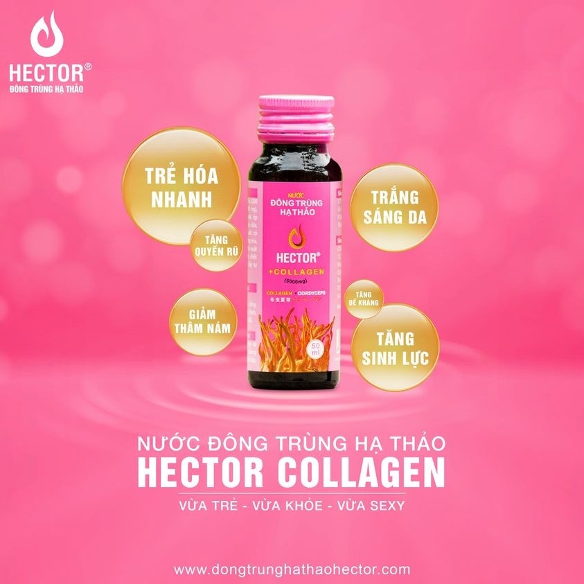 01 Hộp Đông Trùng Hạ Thảo Hector SÂM/ COLLAGEN