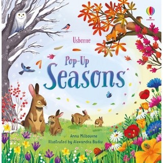 Sách Usborne - Tương tác bật mở Pop up Seasons