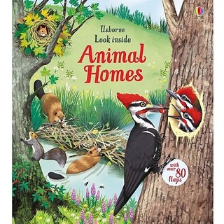 Sách Usborne - tương tác lật mở cho bé 6-8 tuổi Look inside Animal Homes