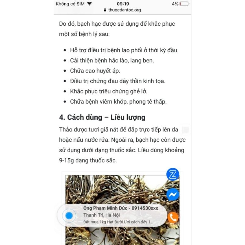 Cây bạch hạc giống 5 cây