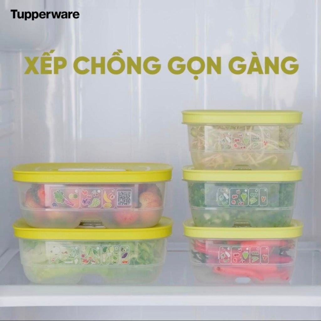 Bộ hộp Tupperware trữ đông 650ml và trữ mát Ventsmart Fivestar - Bảo hành trọn đời - Nhựa nguyên sinh PP số 5 an toàn