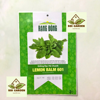 Hạt Giống Bạc Hà Chanh Lemon Balm (134)