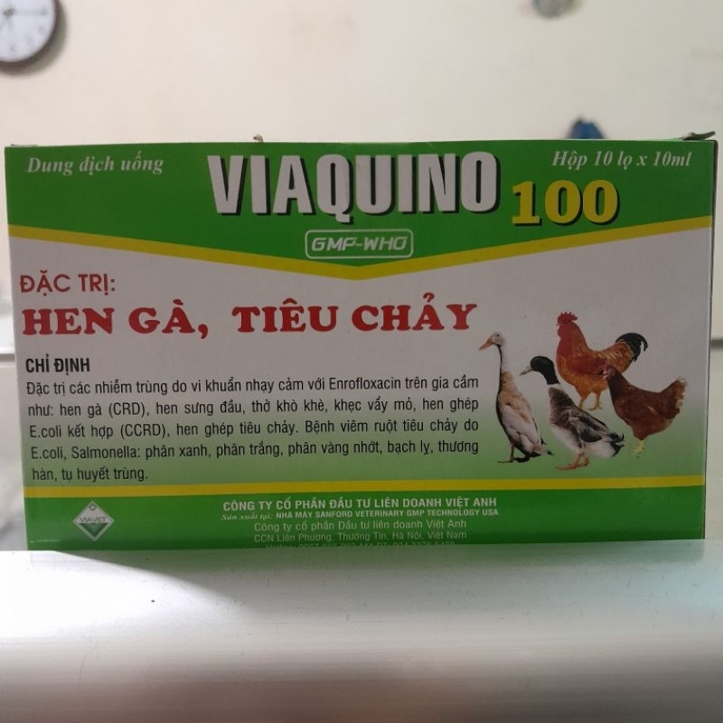 Viaquino 100 10lọx10ml Hen gà, tiêu chảy