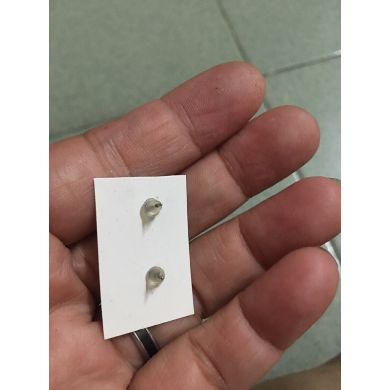 Hao tai đính thời trang xinh xinh si tuyển Nhật