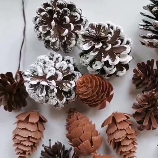 Hoa thông quả thông khô bằng nhựa trang trí hộp quà tặng Giáng sinh Noel