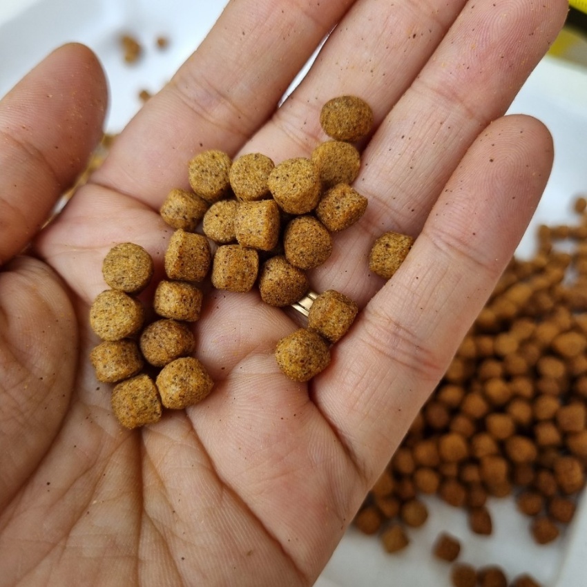 Thức ăn cá Koi, cám cá koi Daily Koi Food tăng trưởng và tăng màu giúp cá phát triển body tốt, lên màu đẹp