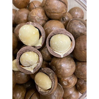 Hạt macca úc hủ 500g - hạt macca size lớn 23-25