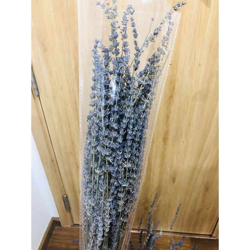100 cành hoa lavender khô, hoa oải hương trang trí, decor siêu xinh