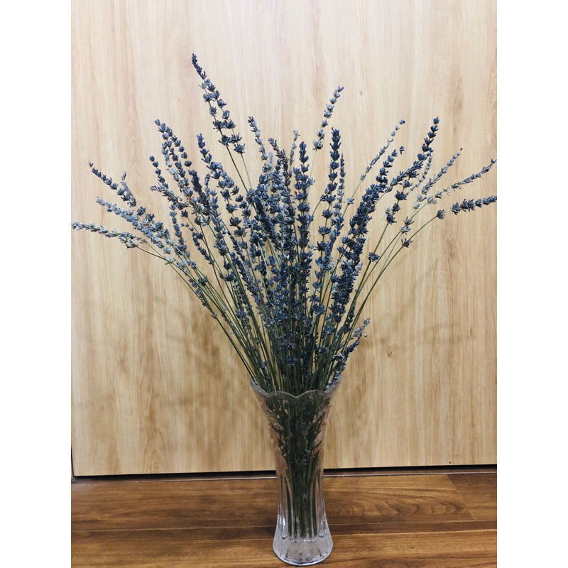100 cành hoa lavender khô, hoa oải hương trang trí, decor siêu xinh